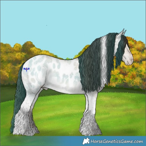 Horse Color:Classic Champagne Ice Dun Tobiano Appaloosa 