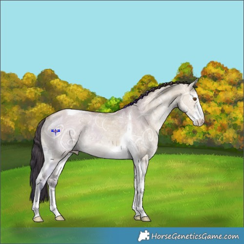 Horse Color:Classic Champagne Ice Dun Sabino Tobiano 