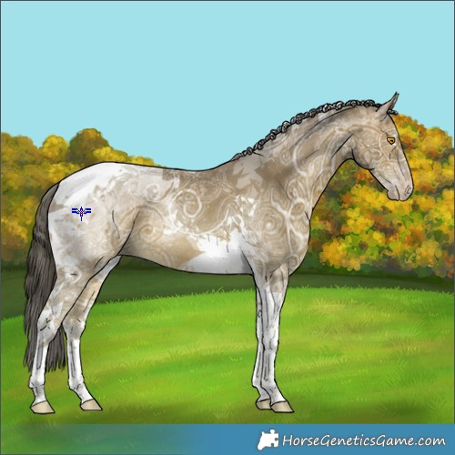 Horse Color:Sable Champagne Ice Tobiano 