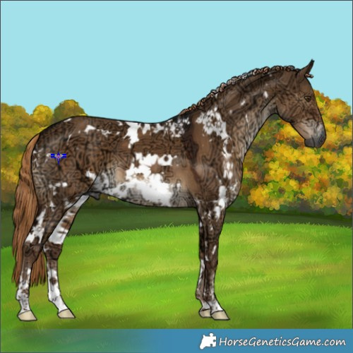 Horse Color:Gray White Spotted Liver Red Dun Ice 