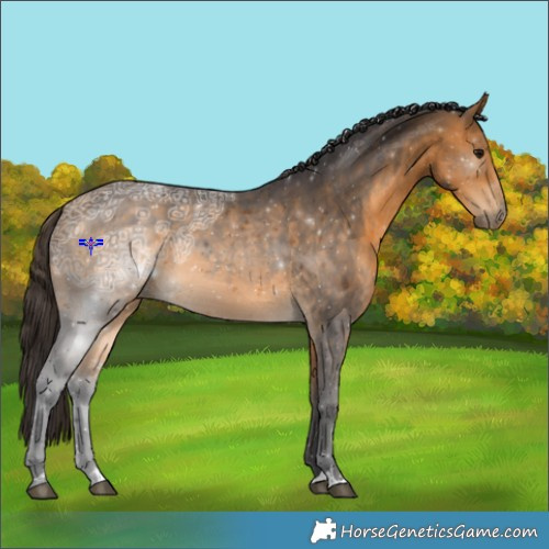 Horse Color:Buckskin Ice Tobiano Rabicano 