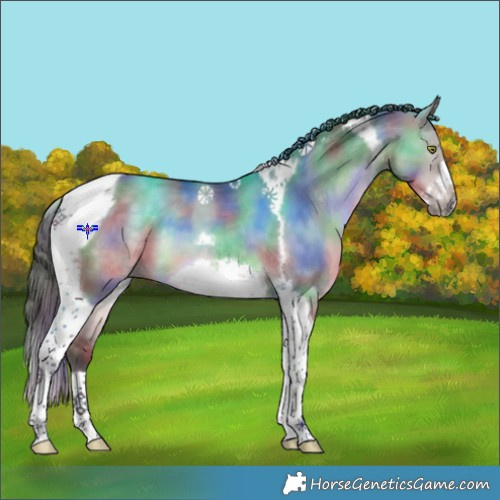 Horse Color:Platinum Nacre Brown Dun Tobiano Frame 