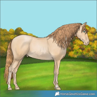 Horse Color:Smoky Black Pearl 