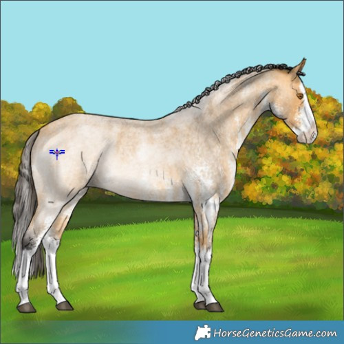 Horse Color:White Spotted Buckskin Roan Splash 