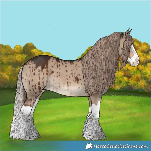 Horse Color:Liver Red Dun Splash Appaloosa Brindle 