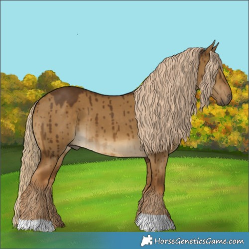 Horse Color:Chocolate Palomino Dun Brindle 