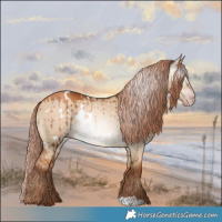 Horse Color:Gray White Spotted Gold Champagne Dun Brindle 