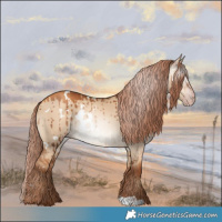 Horse Color:Gray White Spotted Gold Champagne Dun Brindle 