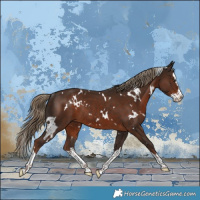 Horse Color:White Spotted Liver Chestnut Splash Rabicano 