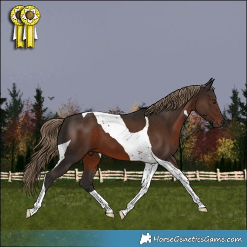 Horse Color:Liver Chestnut Tobiano 