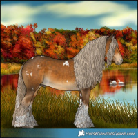 Horse Color:White Spotted Chocolate Palomino Tobiano 