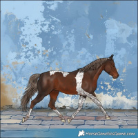 Horse Color:Liver Chestnut Tobiano 