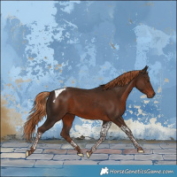 Horse Color:Liver Chestnut Tobiano 
