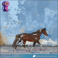 Horse Color:White Spotted Liver Chestnut Tobiano 