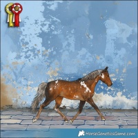 Horse Color:White Spotted Chocolate Palomino Rabicano