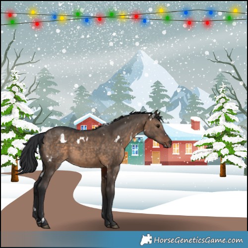 Horse Color:White Spotted Brown Dun 