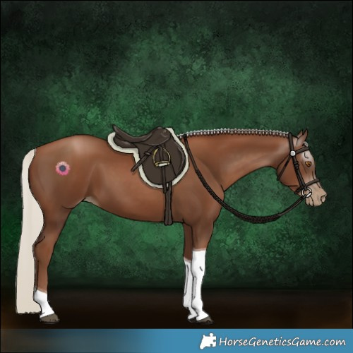 Horse Color:Gray Silver Black Pearl Tobiano 