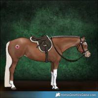 Horse Color:Gray Silver Black Pearl Tobiano 