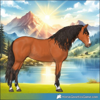 Horse Color:Bay Rabicano 