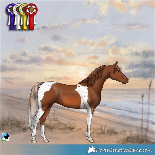 Horse Color:Chestnut Tobiano 