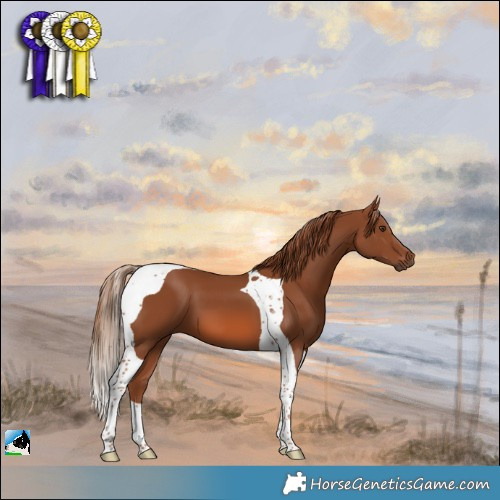 Horse Color:Chestnut Tobiano 