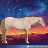 Horse Color:Blue Roan Pearl