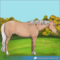 Horse Color:Silver Amber Champagne