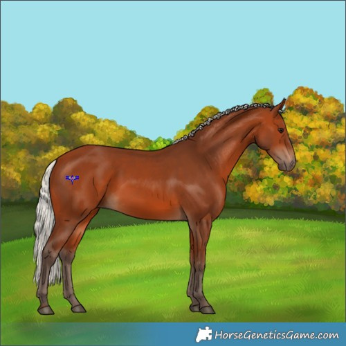 Horse Color:Silver Bay