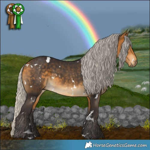 Horse Color:White Spotted Silver Buckskin