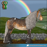 Horse Color:White Spotted Silver Buckskin 