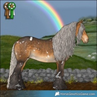 Horse Color:White Spotted Silver Buckskin