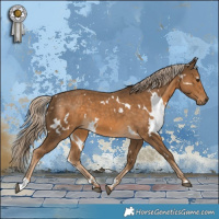 Horse Color:White Spotted Chocolate Palomino