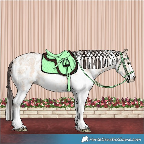 Horse Color:Sable Champagne Ice Dun Sabino Rabicano 