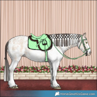 Horse Color:Sable Champagne Ice Dun Sabino Rabicano 