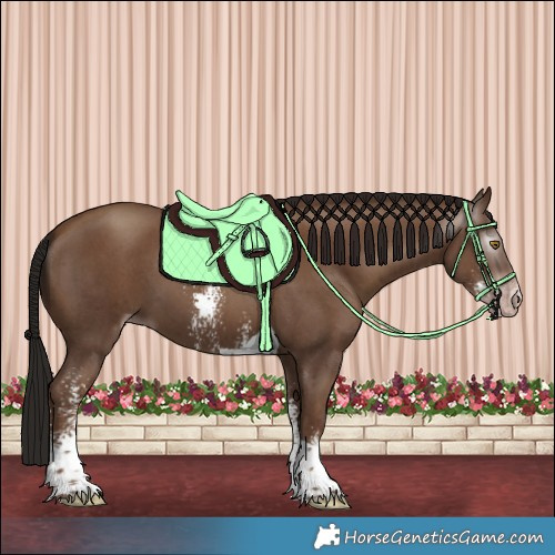 Horse Color:Gray Classic Champagne Sabino Tobiano 