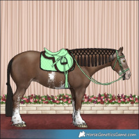 Horse Color:Gray Classic Champagne Sabino Tobiano 