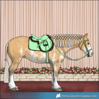 Horse Color:Silver Buckskin Sabino Rabicano 