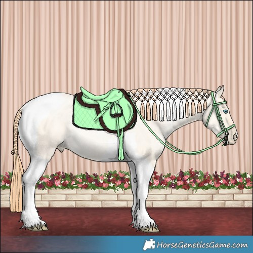 Horse Color:Amber Cream Champagne Pearl Dun Tobiano Rabicano 