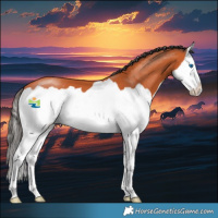 Horse Color:Bay Splash