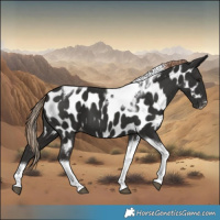 Horse Color:Liver Chestnut Tobiano Frame Near Leopard 