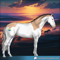Horse Color:Amber Champagne Splash 