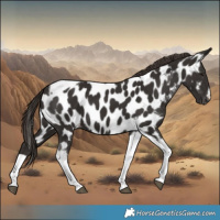Horse Color:Liver Chestnut Tobiano Frame Near Leopard 