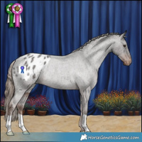 Horse Color:Liver Red Roan Appaloosa Rabicano 