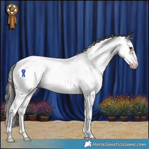 Horse Color:Liver Chestnut Sabino Splash Frame Appaloosa 
