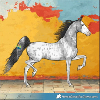 Horse Color:Blue Roan Sabino Splash Appaloosa