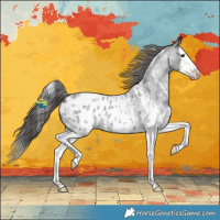 Horse Color:Blue Roan Sabino Splash Appaloosa 