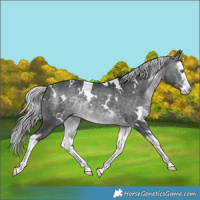 Horse Color:White Spotted Silver Brown Chinchilla Splash