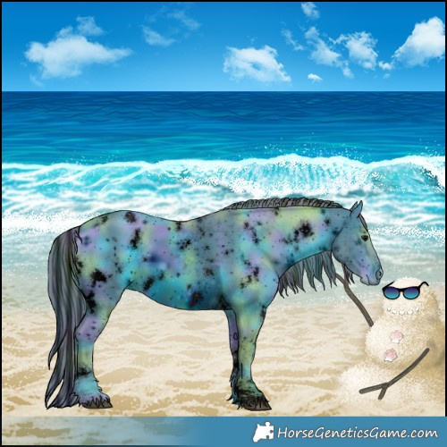 Horse Color:ERROR: UNKNOWN ANOMALY