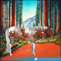 Horse Color:White Spotted Silver Brown Tobiano