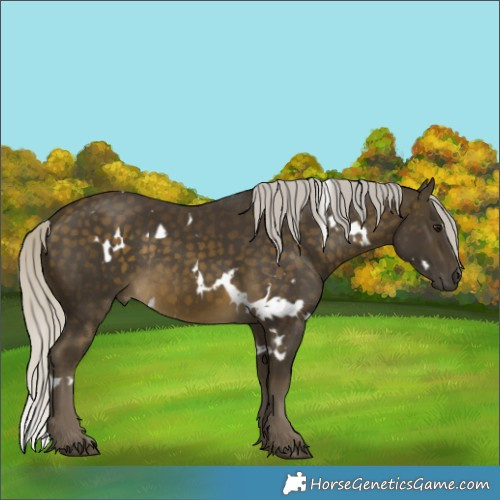 Horse Color:White Spotted Silver Buckskin Rabicano 